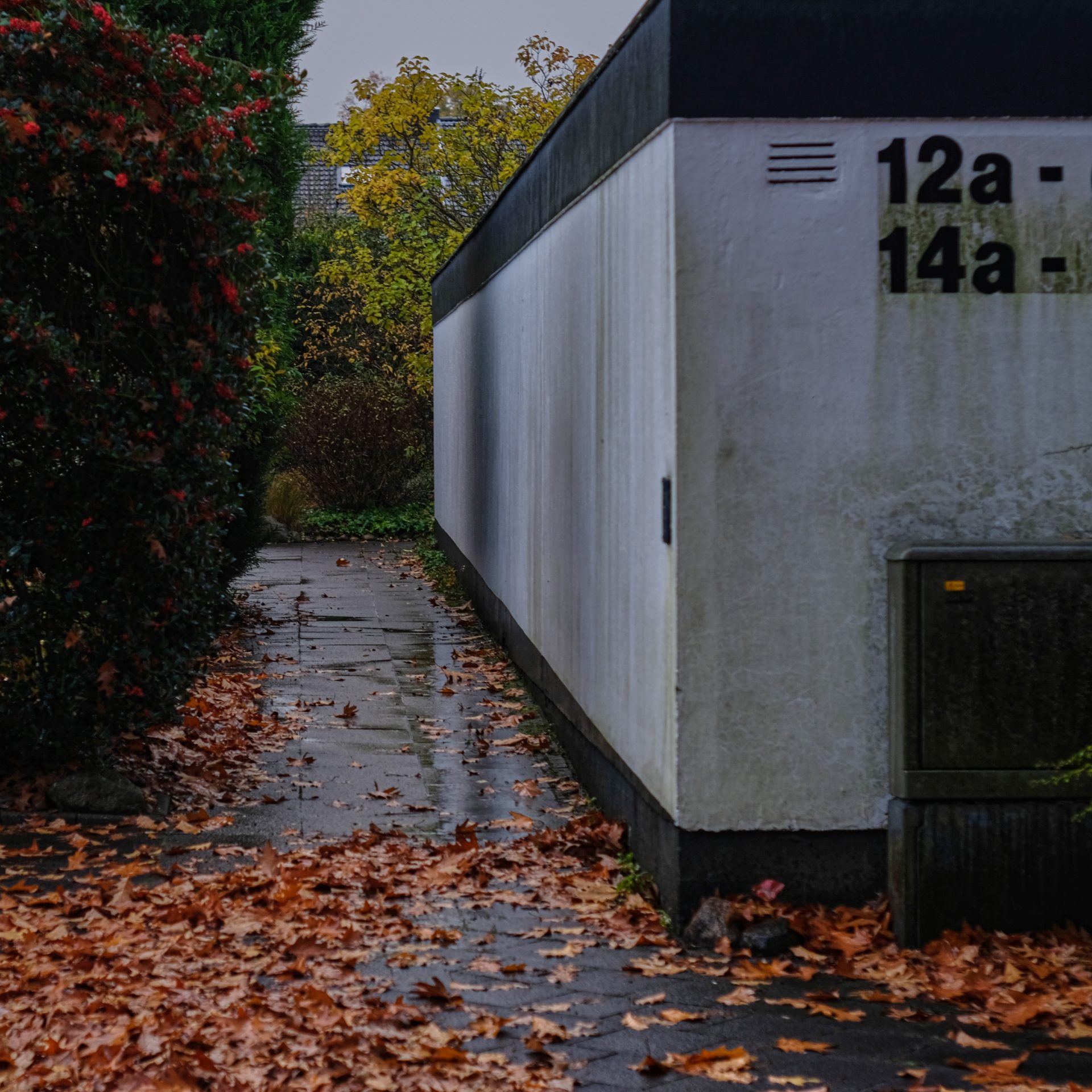 Fallen leaves on wet concrete, white terrace housing, holsteiner Straße, Reinbek, Germany. Herbstlaub auf nassem Beton vor Reihenhäusern an der Holsteiner Straße in Reinbek