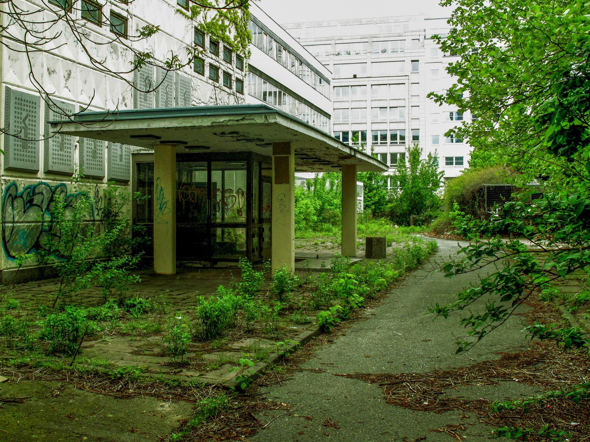 plants overgrowing concrete building, pflanzen überwuchern Gebäude in Berlin