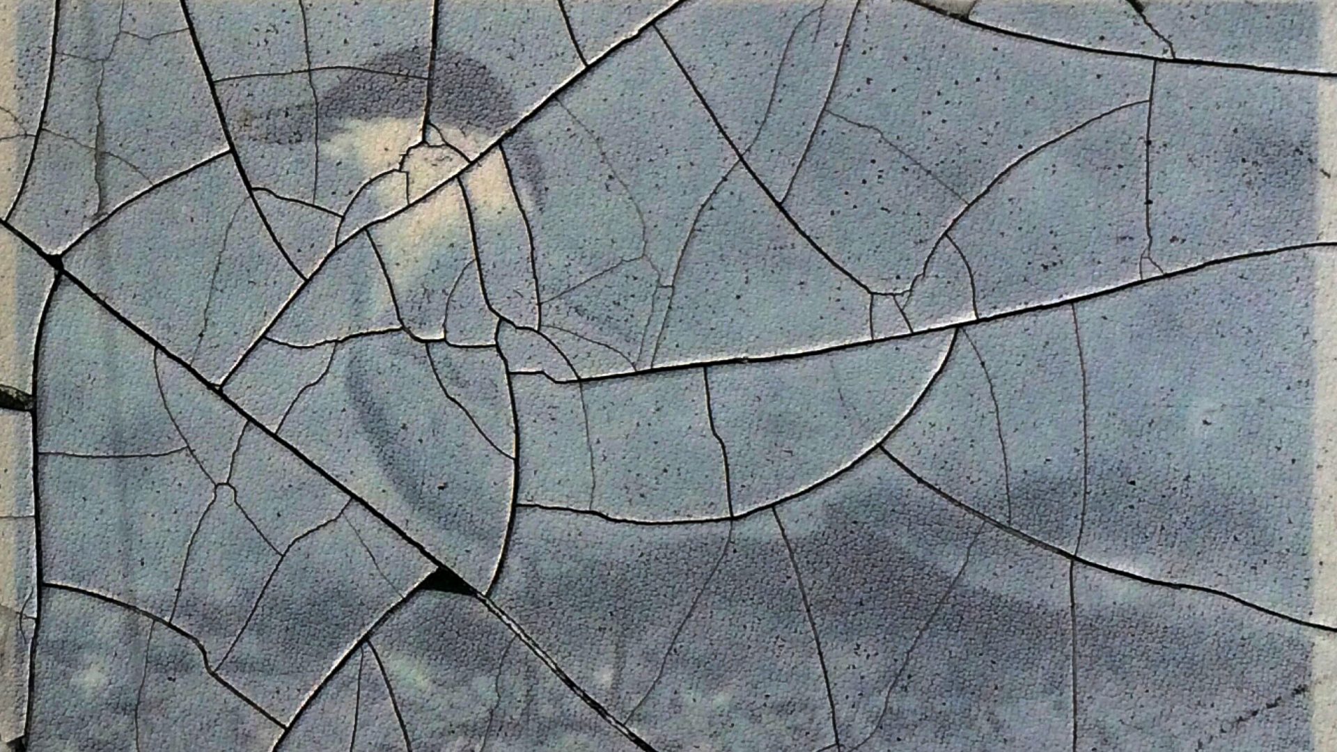 cracks in weathered display of common tern, verwittertes schild mit Flussseeschwalbe