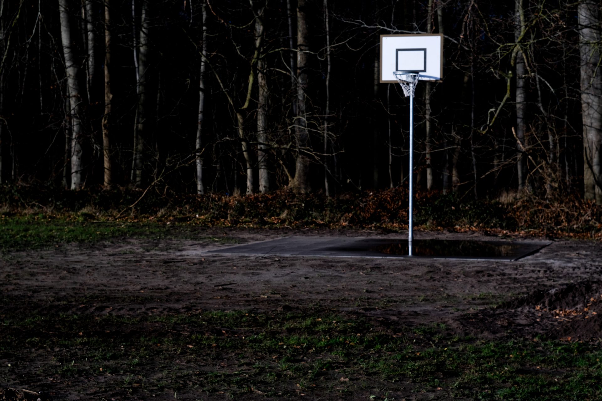 Basketball court in front of a dark forest, Basketballfeld vor dunklem Wald.